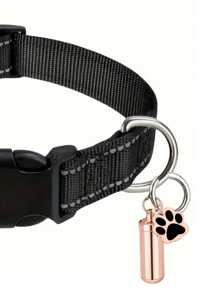 🐾 Capsule d'identification élégante