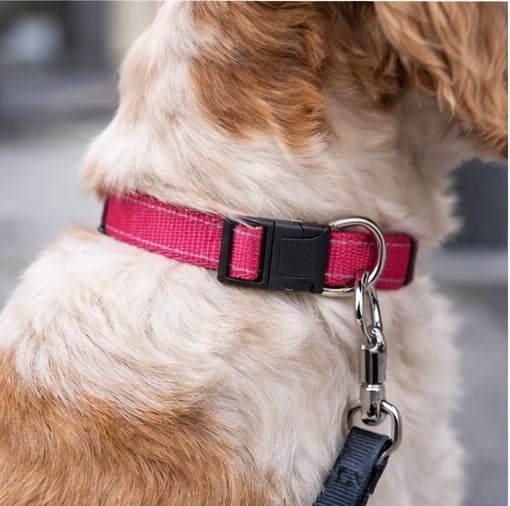 NOCTURNE 🩷- Collier Réfléchissant