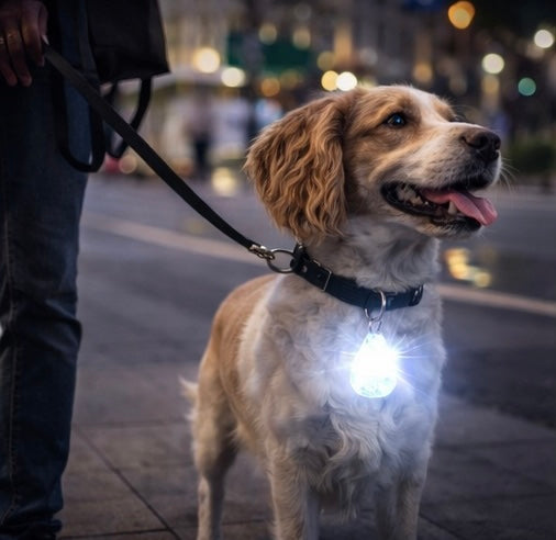 🐾 Pendentif LED Lumineux pour Chien