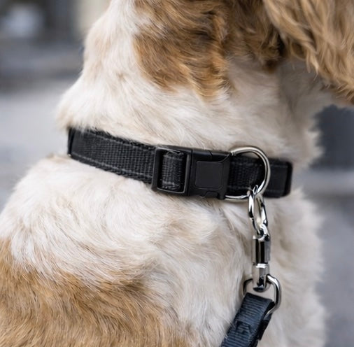 NOCTURNE🖤– Collier Réfléchissant