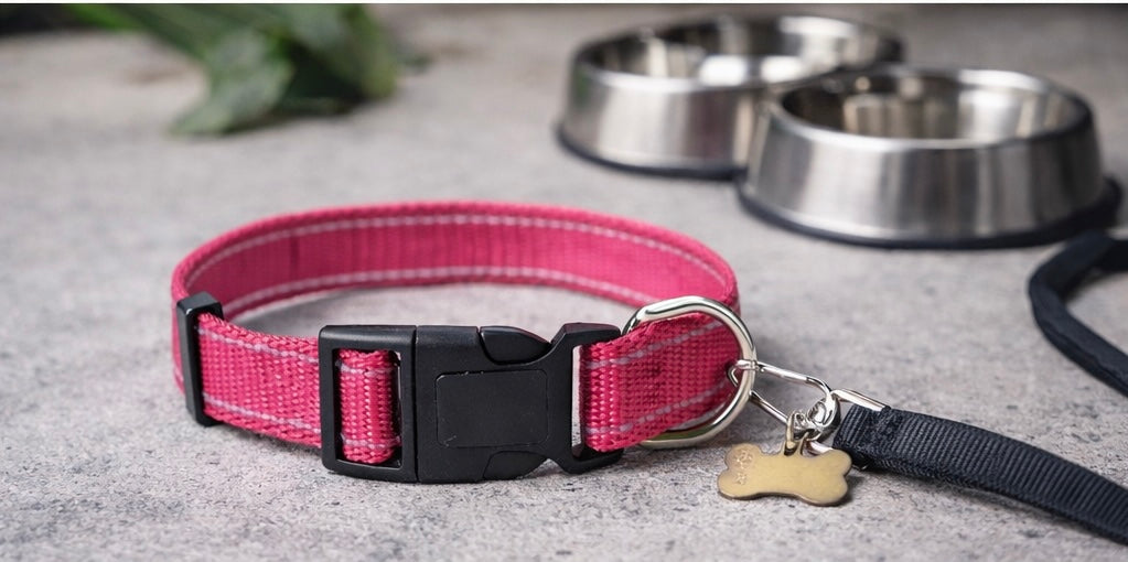 NOCTURNE 🩷- Collier Réfléchissant