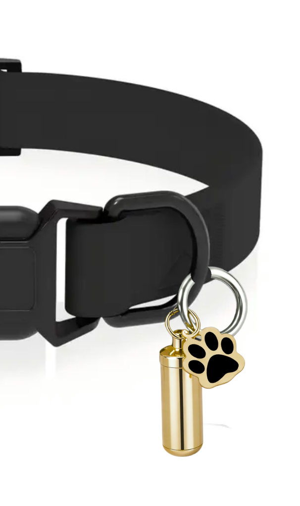 🐾 Capsule d'identification élégante