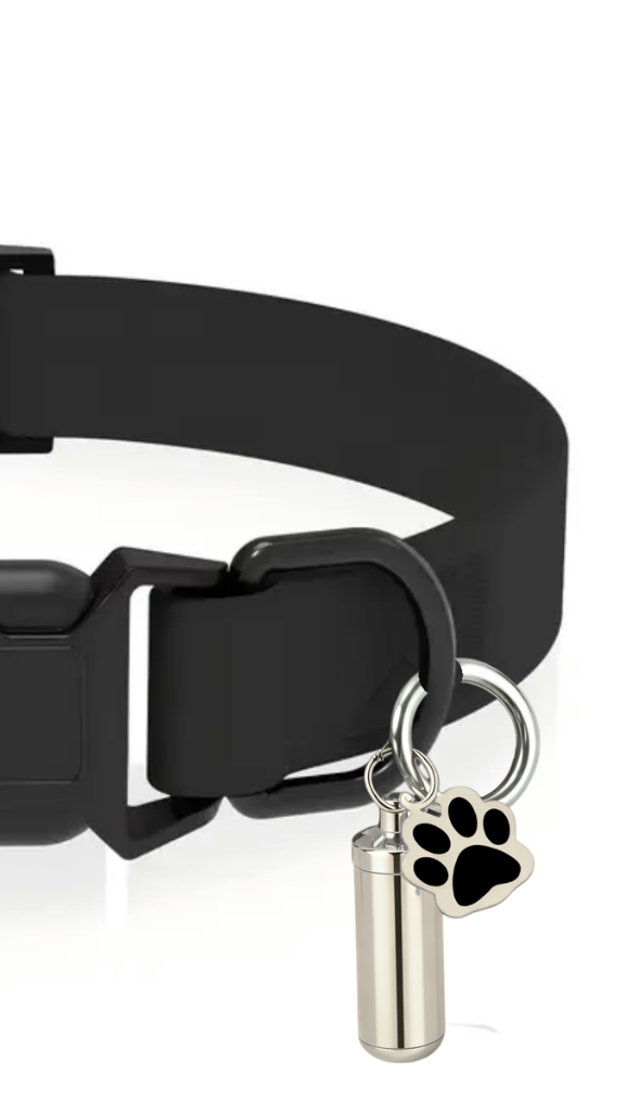 🐾 Capsule d'identification élégante