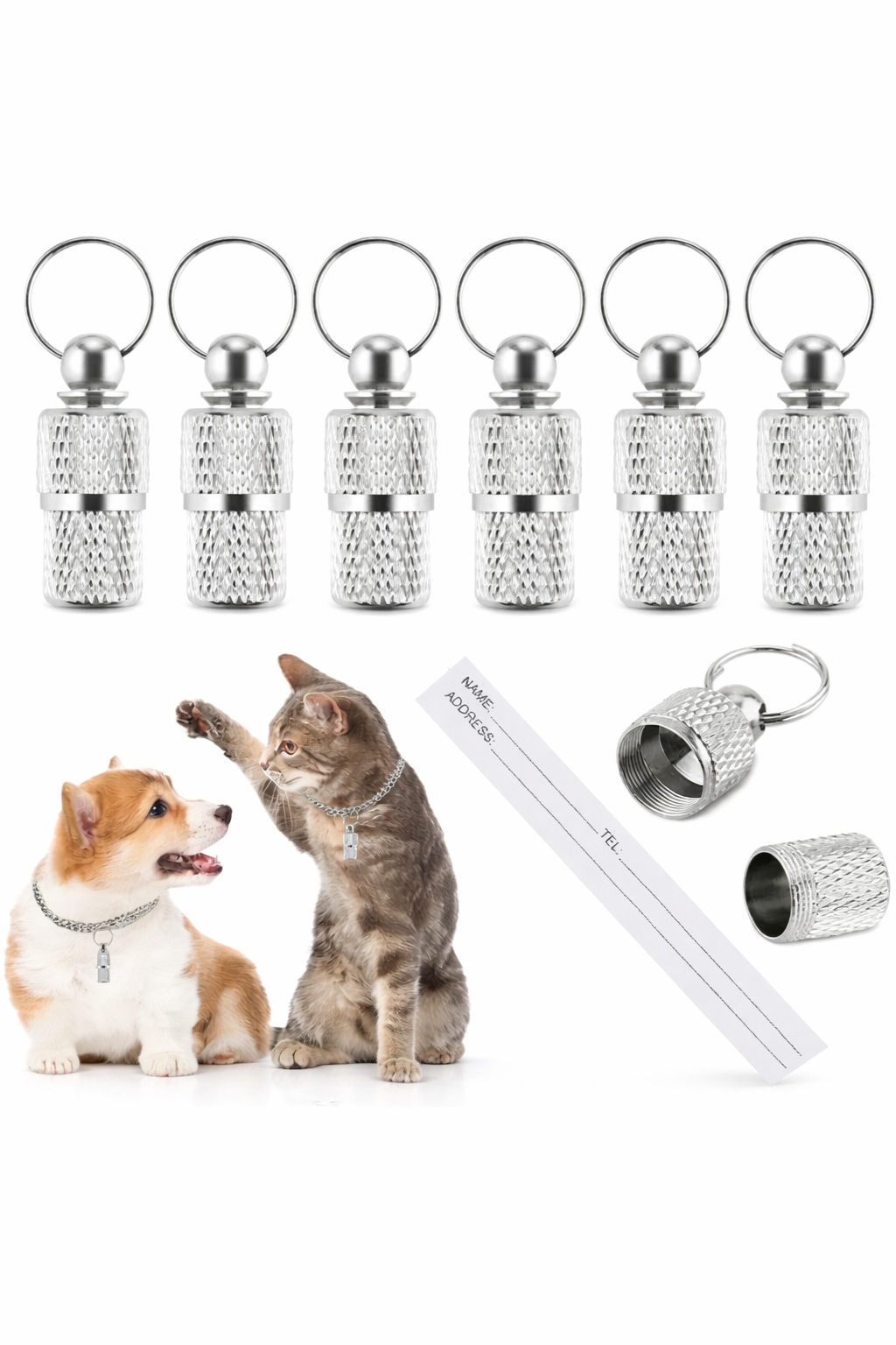 🐾 Capsule d’Identification – Acier Inoxydable