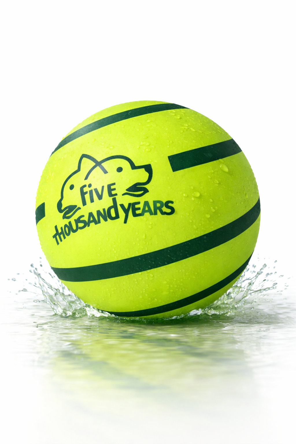 Balle sonore résistante