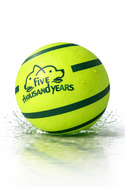 Balle sonore résistante