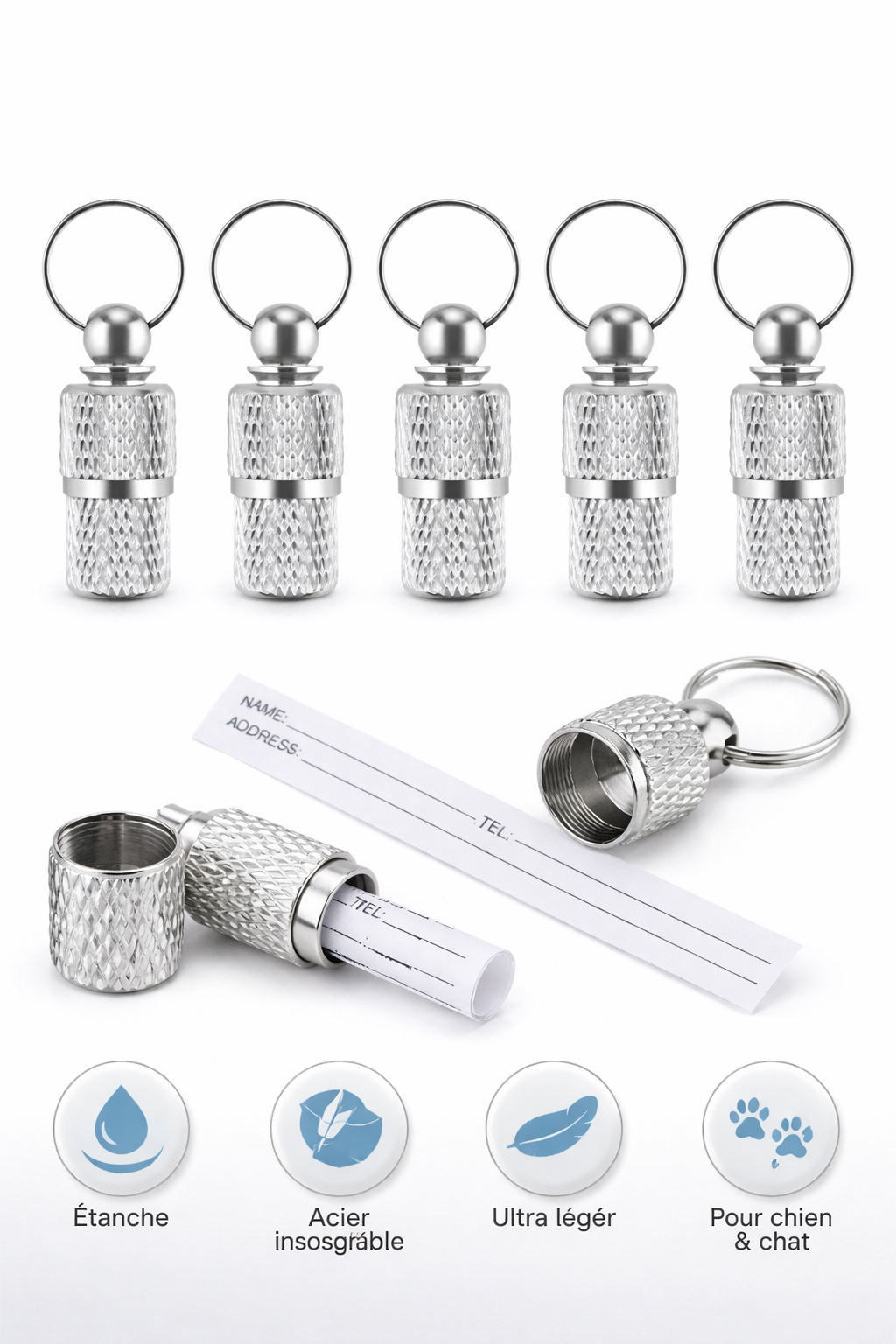 🐾 Capsule d’Identification – Acier Inoxydable
