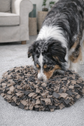 Tapis de fouille XL pour chien et chat