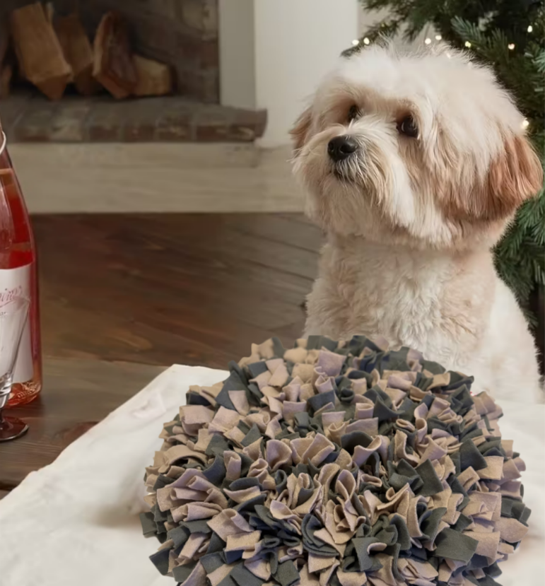 Tapis de fouille XL pour chien et chat