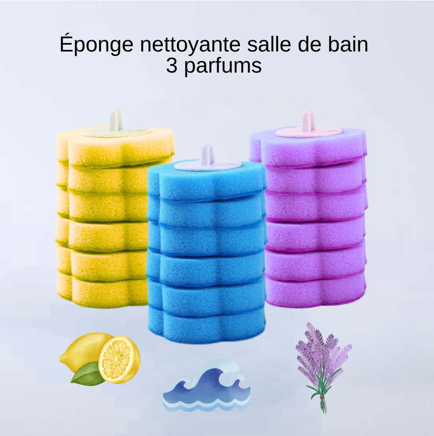 Hygéosponge  Ensemble XL Brosse + 30 éponges